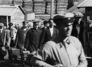 opinionefoto_20260414123332459_tecnavia_photo_generale_526763